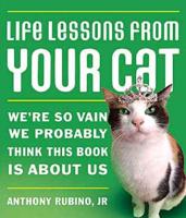 Life Lessons from Your Cat