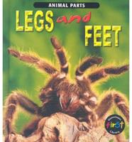 Legs and Feet