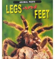 Legs and Feet