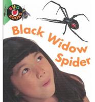 Black Widow Spider