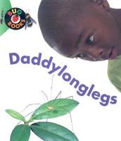 Daddylonglegs