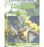 Classifying Insects