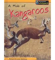 A Mob of Kangaroos