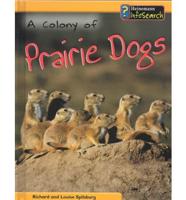 A Colony of Prairie Dogs