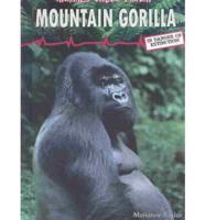 Mountain Gorilla