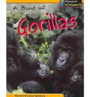 A Band Of Gorillas