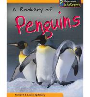A Rookery Of Penguins