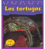 Las Tortugas/Turtles