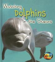 Watching Dolphins in the Ocean