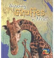 Watching Giraffes in Africa
