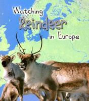 Watching Reindeer in Europe