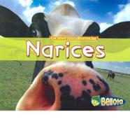 Narices/Noses