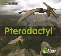 Pterodactyl