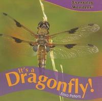 It's a Dragonfly!