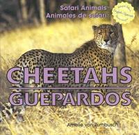 Cheetahs