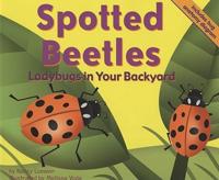 Spotted Beetles