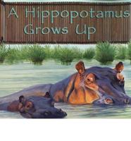 A Hippopotamus Grows Up
