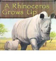 A Rhinoceros Grows Up