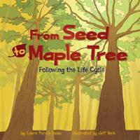 From Seed to Maple Tree