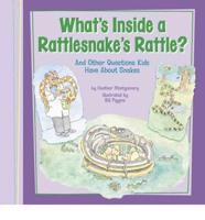 What's Inside a Rattlesnake's Rattle?