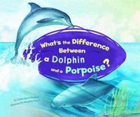 What's the Difference Between a Dolphin and a Porpoise?