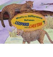 What's the Difference Between a Leopard and a Cheetah?