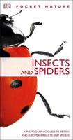 Insects and Spiders