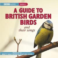 A Guide to British Garden Birds
