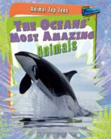 The Ocean's Most Amazing Animals