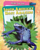 South America's Most Amazing Animals