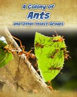 A Colony of Ants and Other Insect Groups
