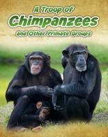 A Troop of Chimpanzees and Other Primate Groups