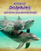 A Pod of Dolphins and Other Sea Mammal Groups