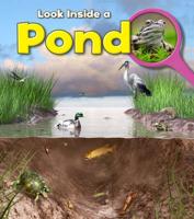 Look Inside a Pond