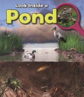 Look Inside a Pond