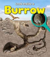 Look Inside a Burrow