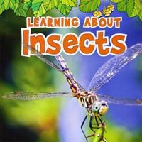 Learning About Insects