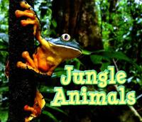 Jungle Animals