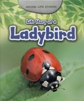 Life Story of a Ladybird