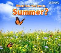 What Can You See in Summer?