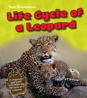 Life Cycle of a Leopard