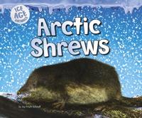 Arctic Shrews
