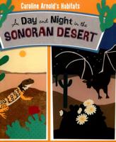A Day and Night in the Sonoran Desert