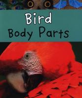 Bird Body Parts