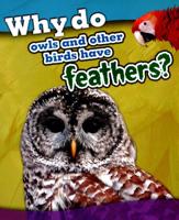 Why Do Owls and Other Birds Have Feathers?