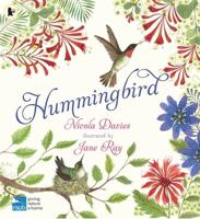 Hummingbird