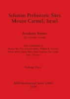 Sefunim Prehistoric Sites Mount Carmel, Israel, Volume Ii