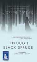 Through Black Spruce