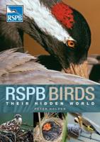 RSPB Birds