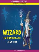 Wizard in Wonderland